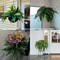 Artificial Fake Ferns, 2pcs Artificial Boston Fern Plant, 24 Leaves for Each Bouquet, Artificial Plant for Indoor, Outdoor, Home Decor, Garden Decor,Green